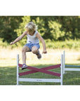Hurdles 'Jumper", 3 parts