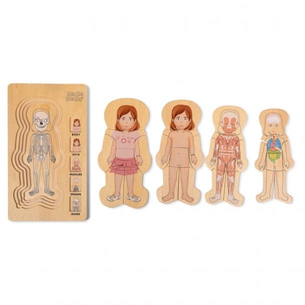 My body puzzle. girl