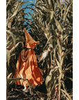 “Little Gold Riding Hood” Magic Cape